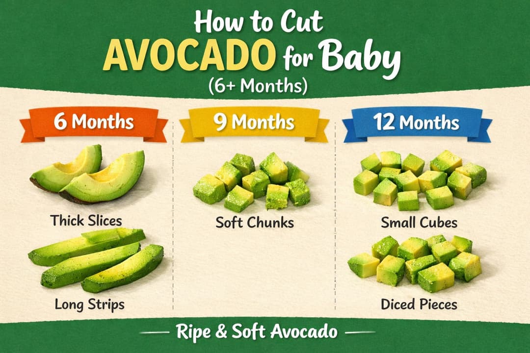 avocat bébé DME - bâtonnets faciles à tenir